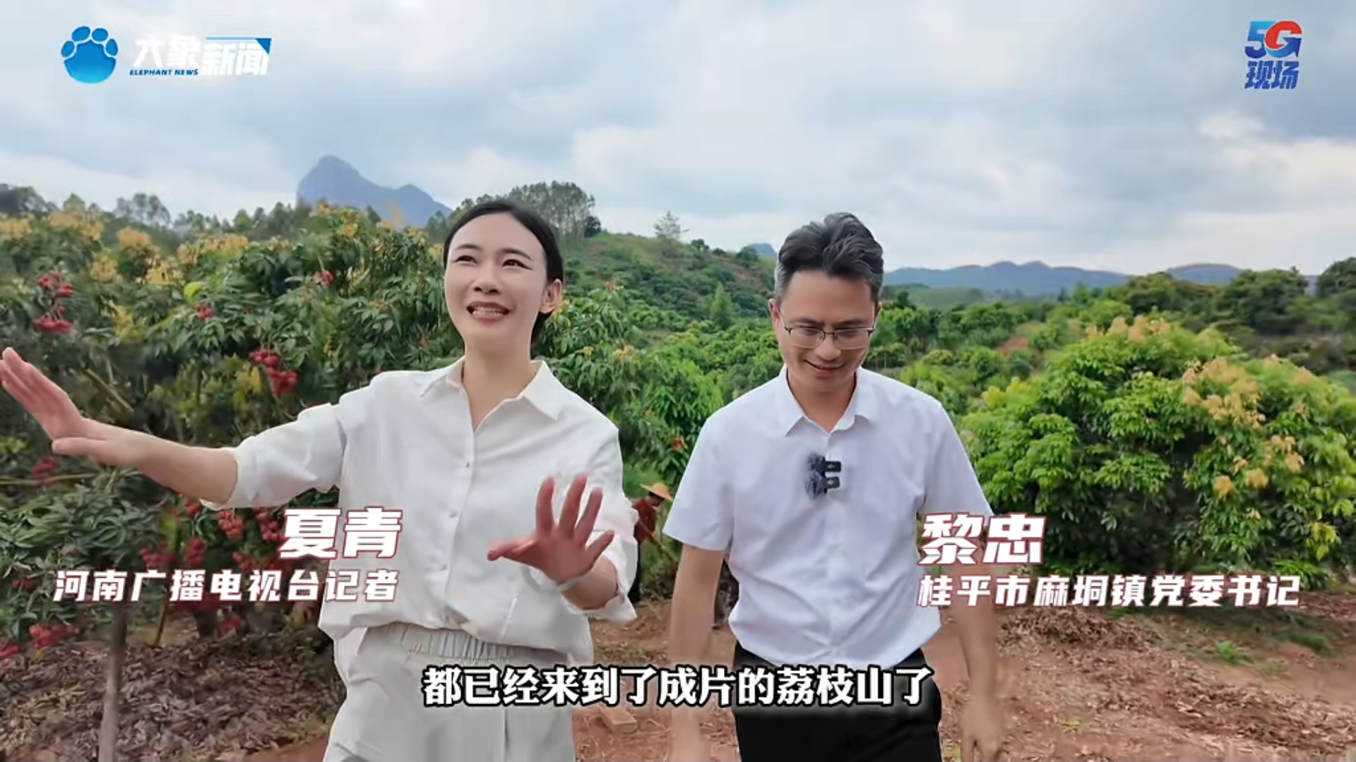 河南台打卡麻垌 (1).png